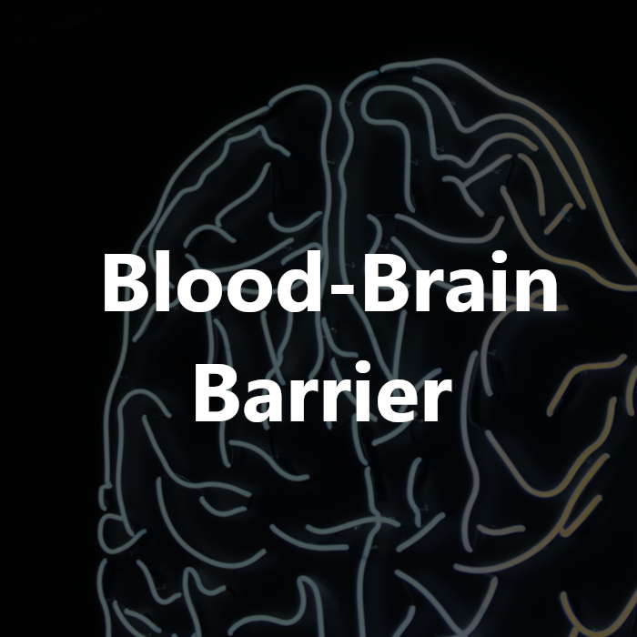 Blood-Brain Barrier